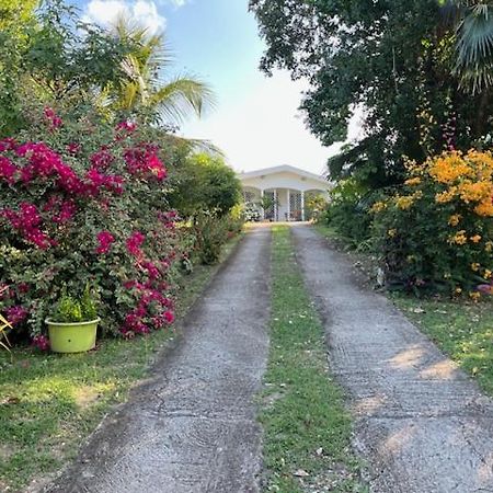 Jardin Des Anges-Bungalows Creoles Et Studio Le Moule Exterior foto