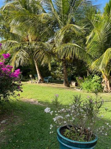 Jardin Des Anges-Bungalows Creoles Et Studio Le Moule Exterior foto